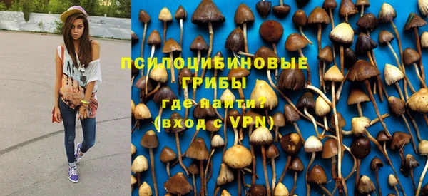 apvp Алзамай