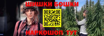 гашик Тверь