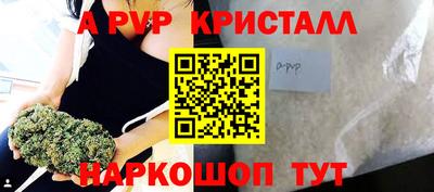 гашик Тверь