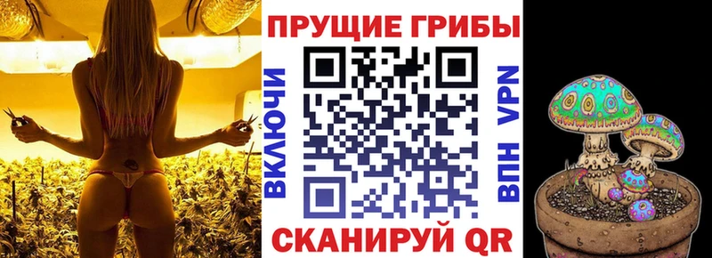 Псилоцибиновые грибы Psilocybe hydra как зайти Сунжа