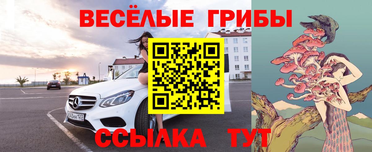 Галлюциногенные грибы MAGIC MUSHROOMS Сунжа