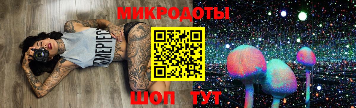 хочу наркоту  Псилоцибиновые грибы прущие грибы  Галлюциногенные грибы ЛСД  Вход с VPN  Сунжа 